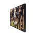 Televisor Terrance QLED Samsung 55'' QN55LST7DAFXZA