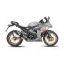Moto Daytona  GP-1 R 250