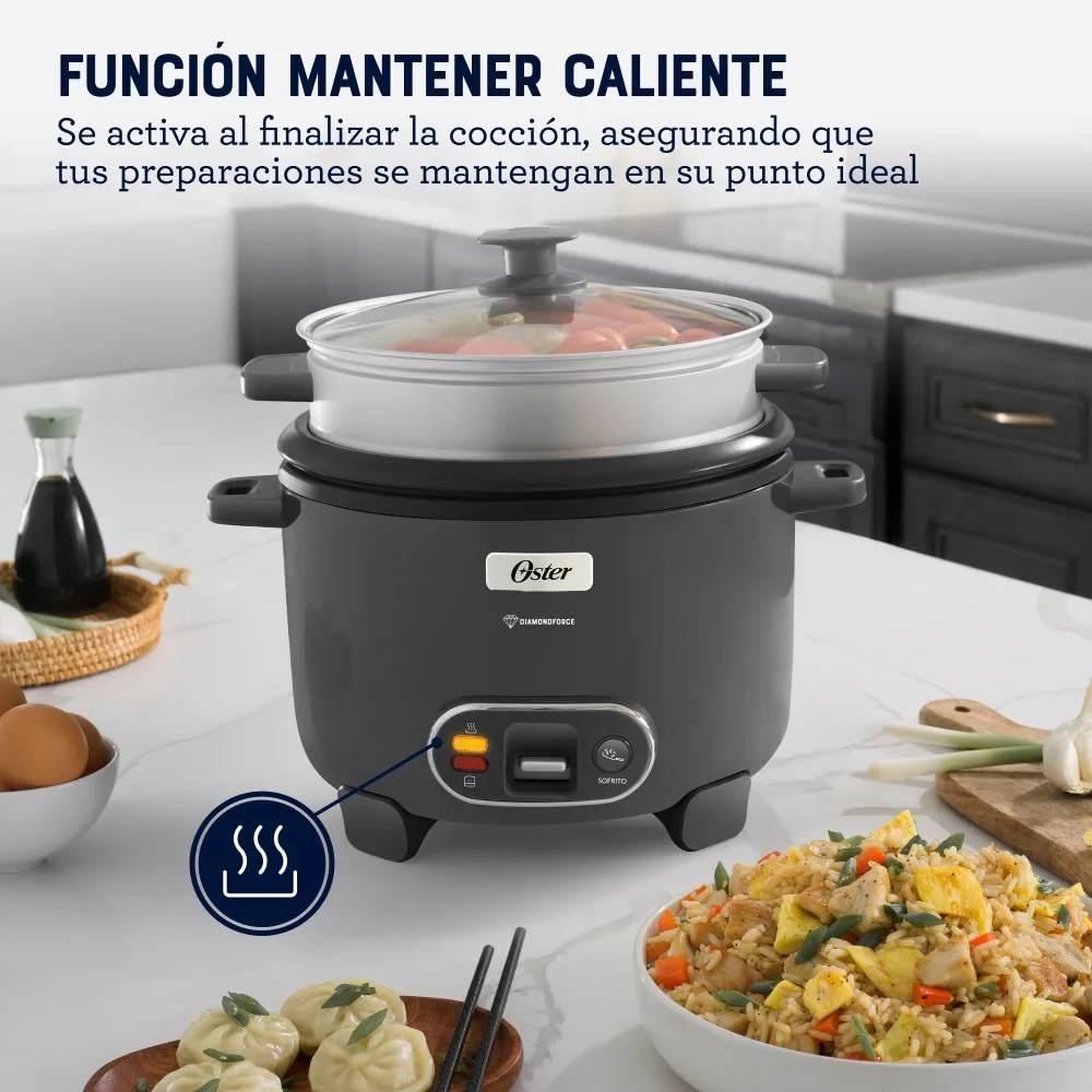 Olla Arrocera Oster 10TZ CKSTRC10DFSKE 